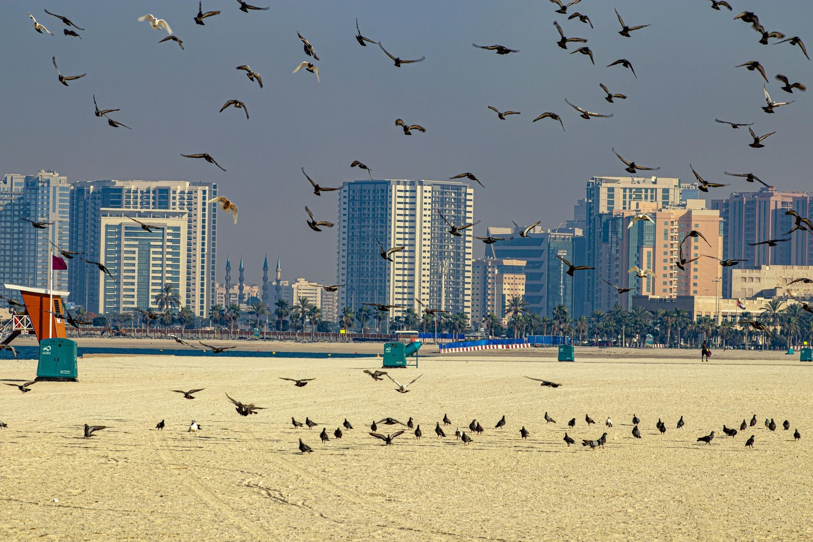 cheap flights to dubai